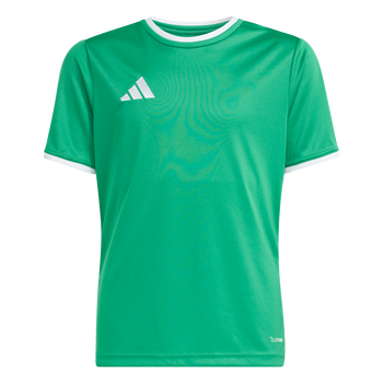 ADIDAS Entrada26 Trikot Kids (team green/white) - Front Center View