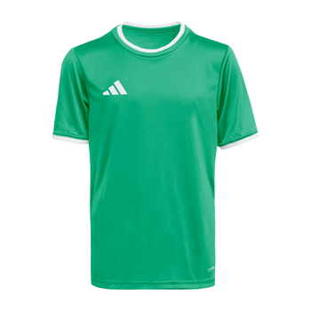 ADIDAS Entrada26 Trikot Kids (team green/white) - Front View