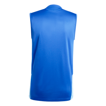 ADIDAS Tiro 26 Competition Trikot, Ärmellos Herren (team royal blue) - Back Center View