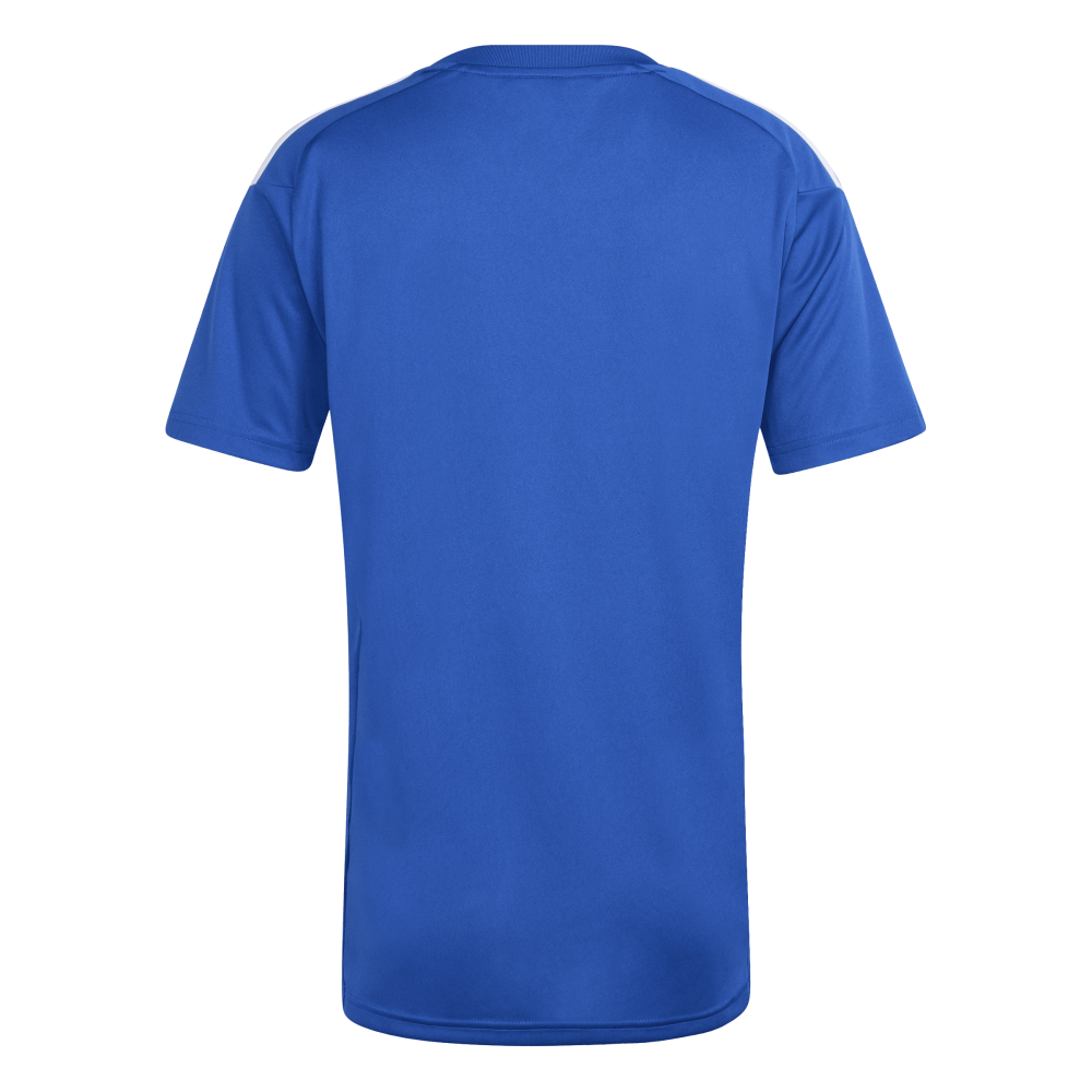 ADIDAS Tiro26 League Trikot Damen (team royal blue/white) - Back Center View