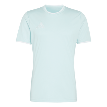 ADIDAS Entrada26 Trikot Herren (halo mint/white) - Front Center View