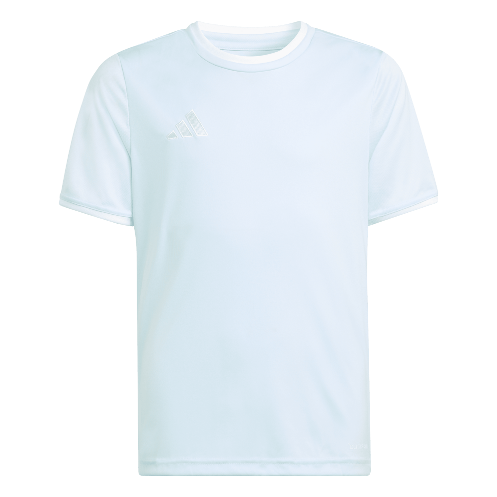 ADIDAS Entrada26 Trikot Kids (halo mint/white) - Front Center View