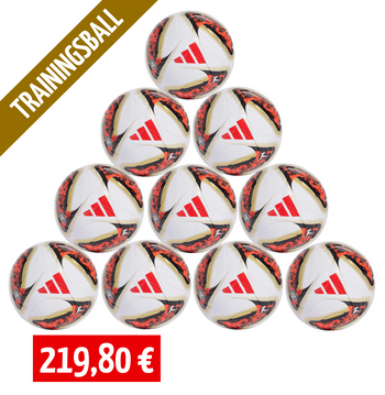 Adidas 10er Ballpaket Trainingsball Torfabrik BL26/27