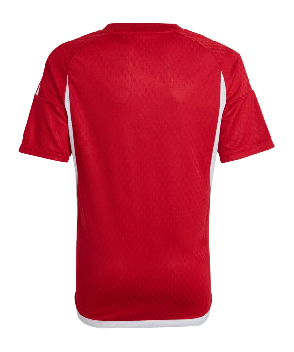 ADIDAS Tiro 23 Competition Match Trikot