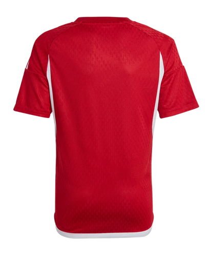 ADIDAS Tiro 23 Competition Match Trikot