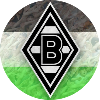 🎁 Borussia Mönchengladbach MYSTERY BOX Erwachsene 5 Fanartikel