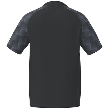 ERIMA EVO STAR Trikot (schwarz/slate grey)