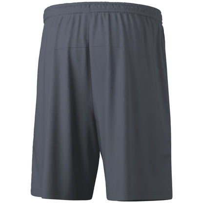 ERIMA TEAM Shorts (slate grey)
