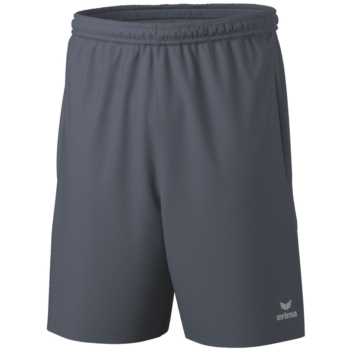 ERIMA TEAM Shorts (slate grey)