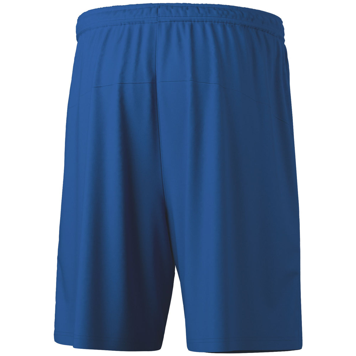ERIMA TEAM Shorts (new royal)