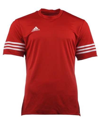 ADIDAS Entrada 14 Trikot