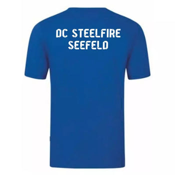 DC Steelfire Seefeld T-Shirt 2 Royal