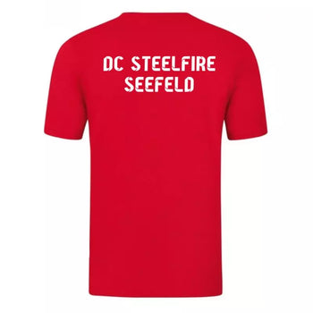 DC Steelfire Seefeld T-Shirt 2 Rot
