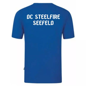 DC Steelfire Seefeld T-Shirt 3 Royal