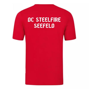 DC Steelfire Seefeld T-Shirt 3 Rot