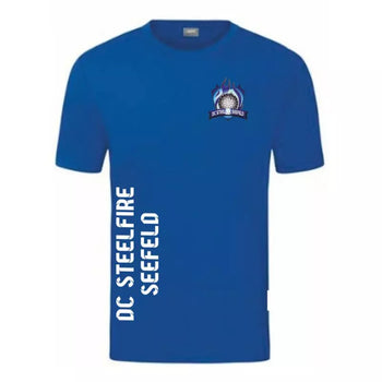DC Steelfire Seefeld T-Shirt 1 Royal