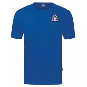 DC Steelfire Seefeld T-Shirt 2 Royal