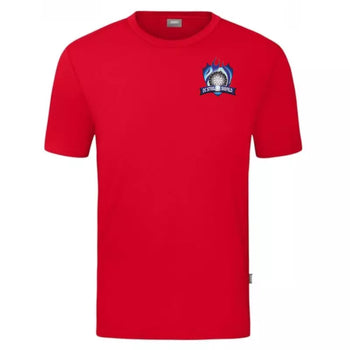 DC Steelfire Seefeld T-Shirt 2 Rot