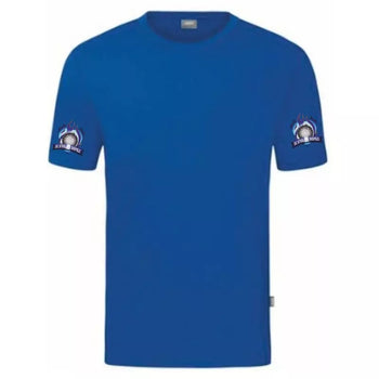 DC Steelfire Seefeld T-Shirt 3 Royal