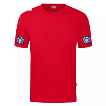 DC Steelfire Seefeld T-Shirt 3 Rot
