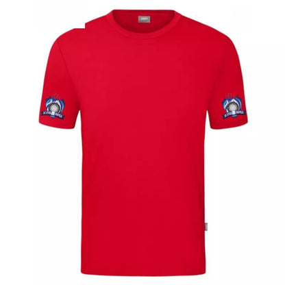 DC Steelfire Seefeld T-Shirt 3 Rot