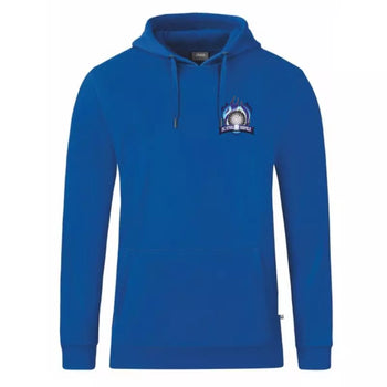 DC Steelfire Seefeld Kapuzensweat Kinder Royal