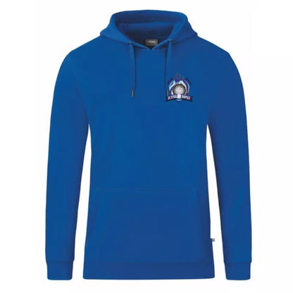DC Steelfire Seefeld Kapuzensweat Kinder Royal