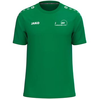 SV Lemwerder T-Shirt Cotton Herren Grün