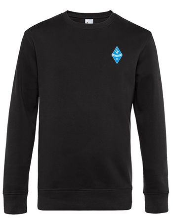 SV Ochtersum Fan - Sweatshirt Herren schwarz