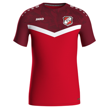 TSV Jahn Carolinensiel T-Shirt Iconic Herren Rot