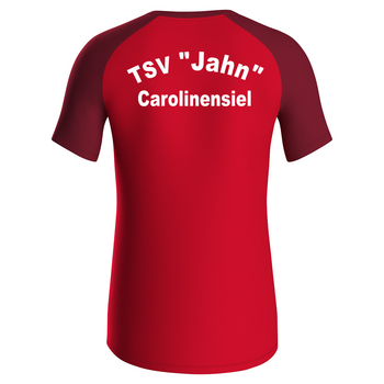 TSV Jahn Carolinensiel T-Shirt Iconic Herren Rot
