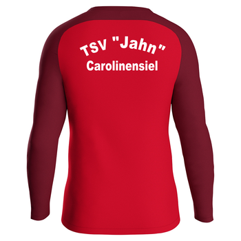 TSV Jahn Carolinensiel Sweat Iconic Herren Rot